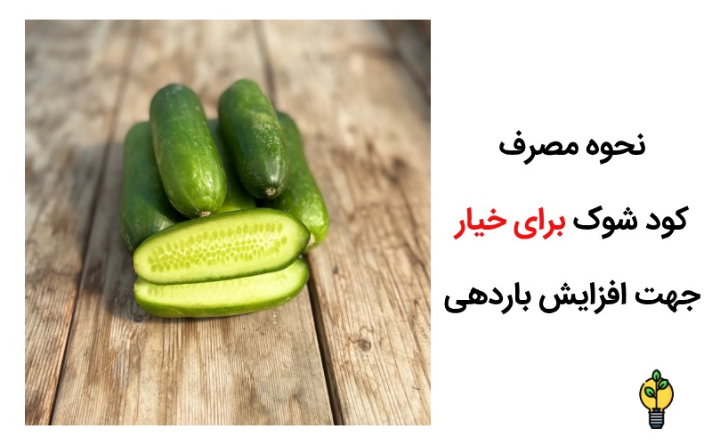 کود شوک برای خیار 