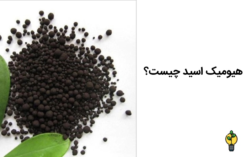 کود هیومیک اسید برای چی خوبه؟