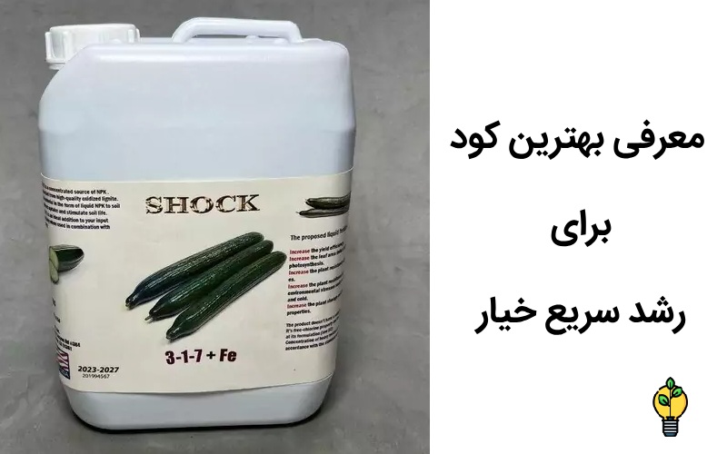 کود شوک برای خیار 