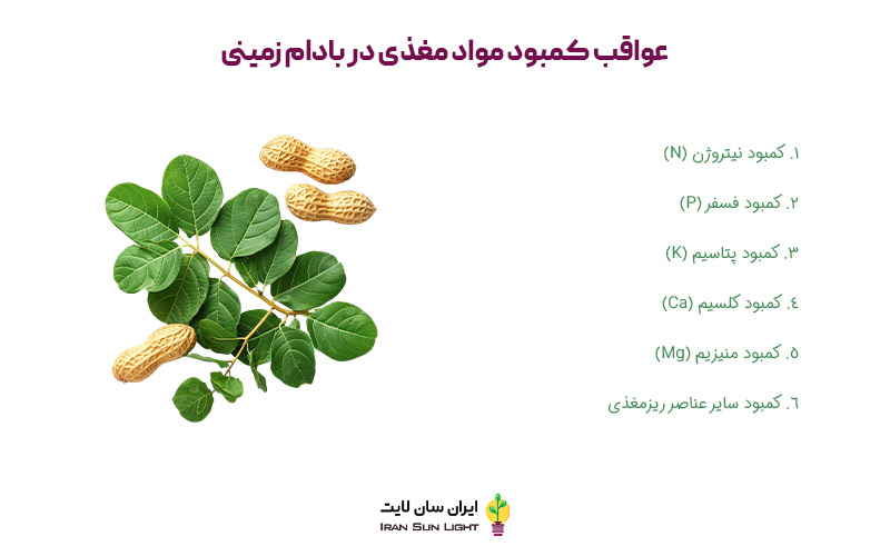 کود برای بادام زمینی
