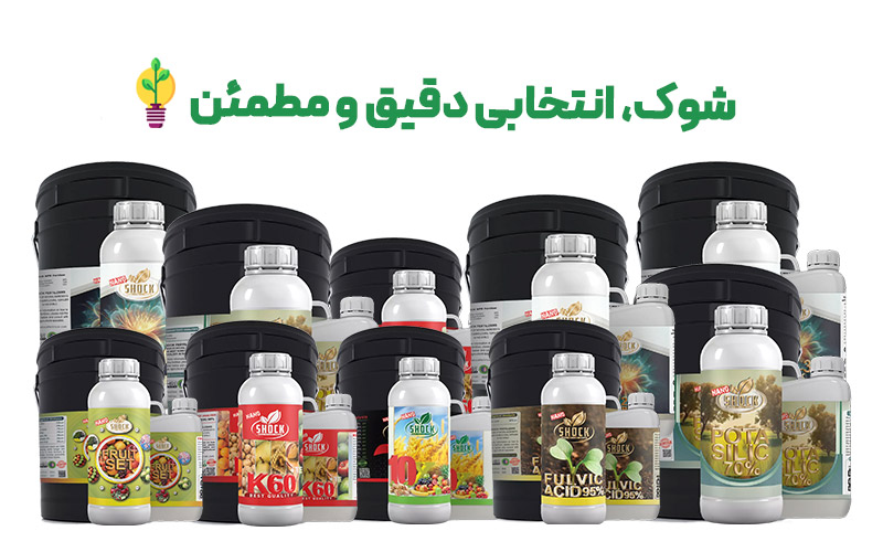 کود شوک