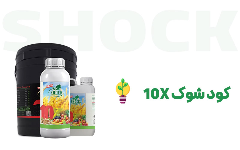 کود-شوک-10X
