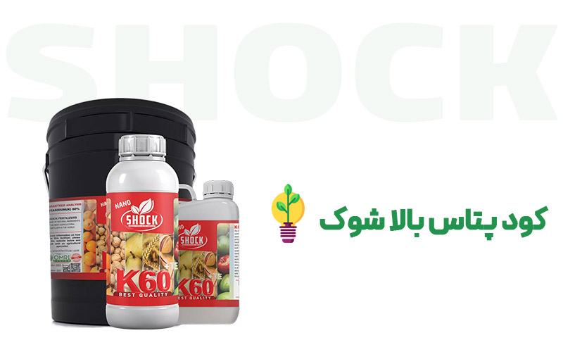کود-پتاس-بالا-شوک