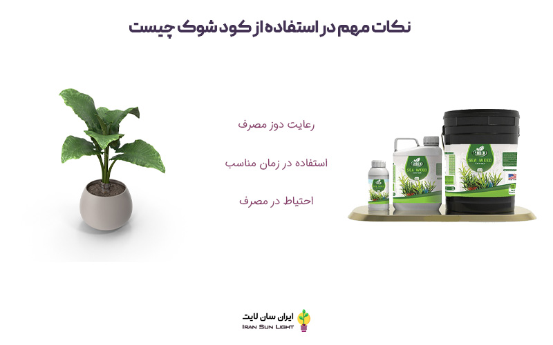 برای سبز شدن برگ گیاهان چه کنیم