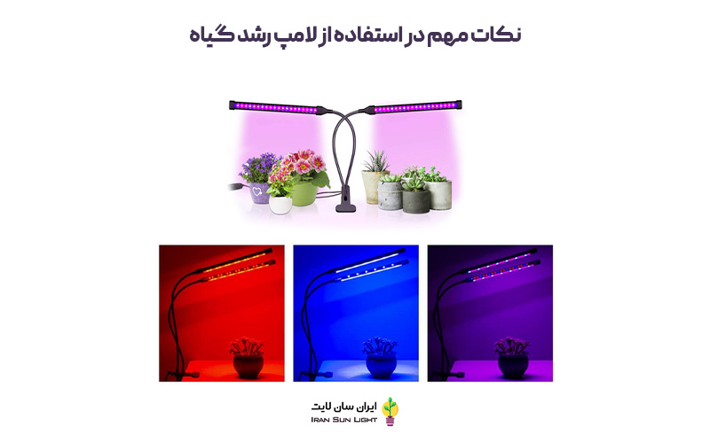 برای سبز شدن برگ گیاهان چه کنیم