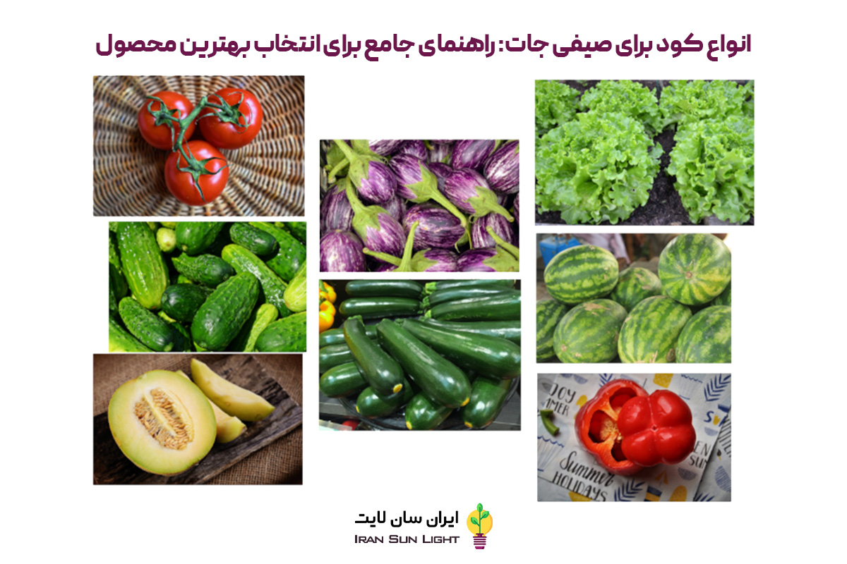 کود برای صیفی جات