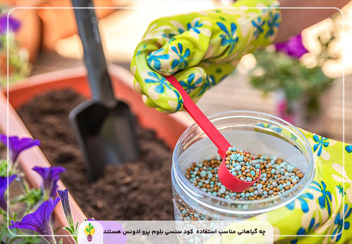 کود سنسی بلوم پرو ادونس (پارت A&B) یک کیلویی