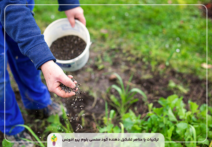 کود سنسی بلوم پرو ادونس (پارت A&B) یک کیلویی