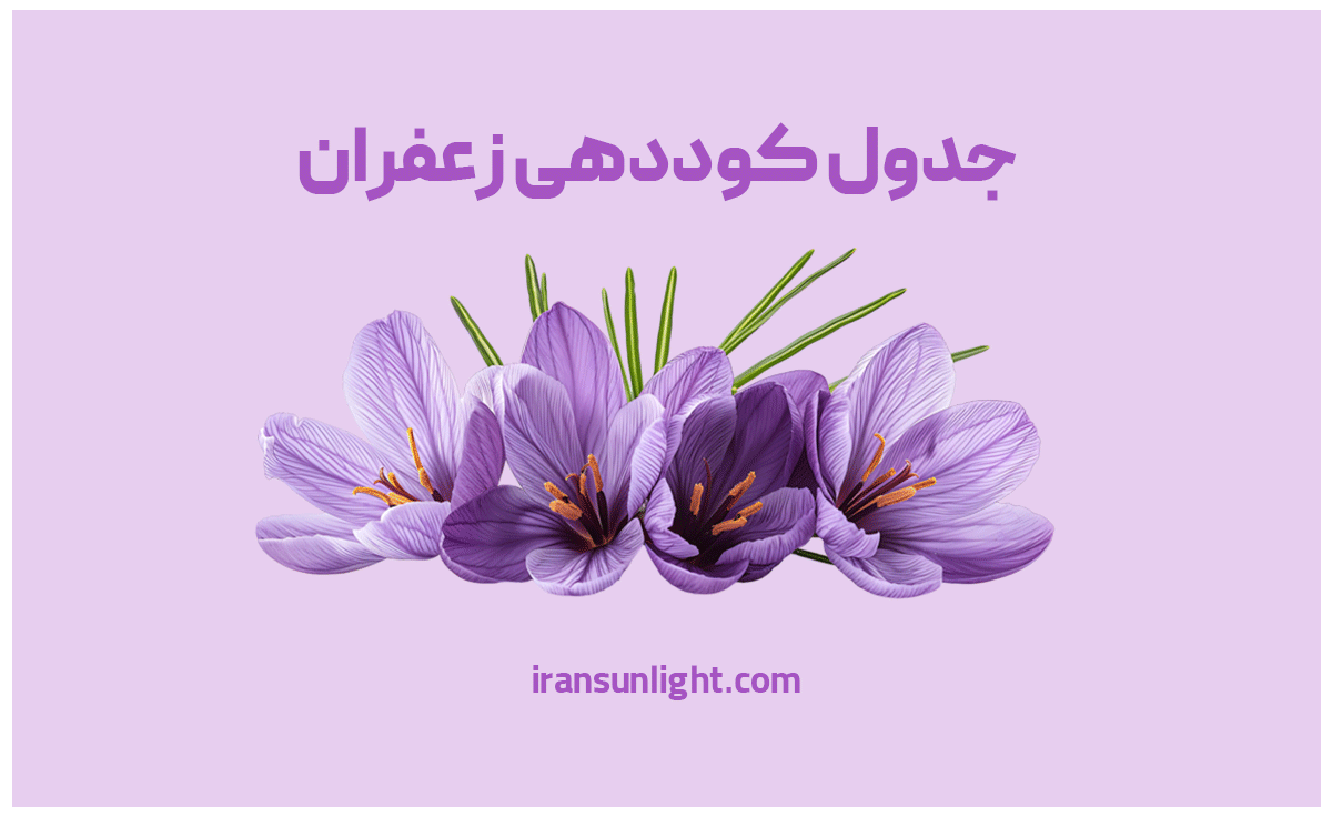 جدول کوددهی زعفران