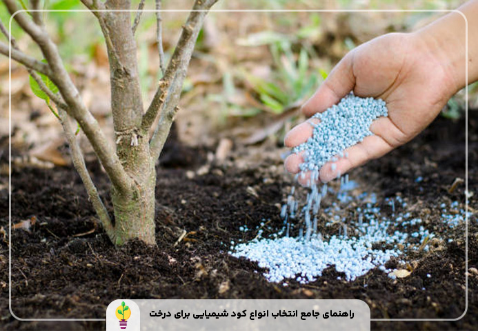 انواع کود شیمیایی برای درخت