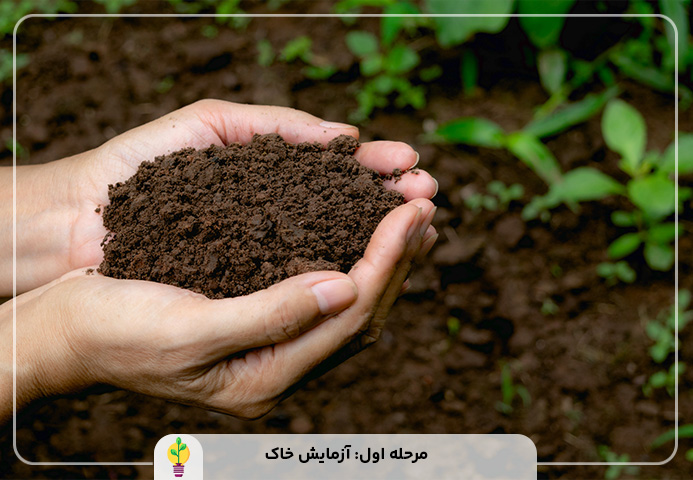 انواع کود شیمیایی برای درخت