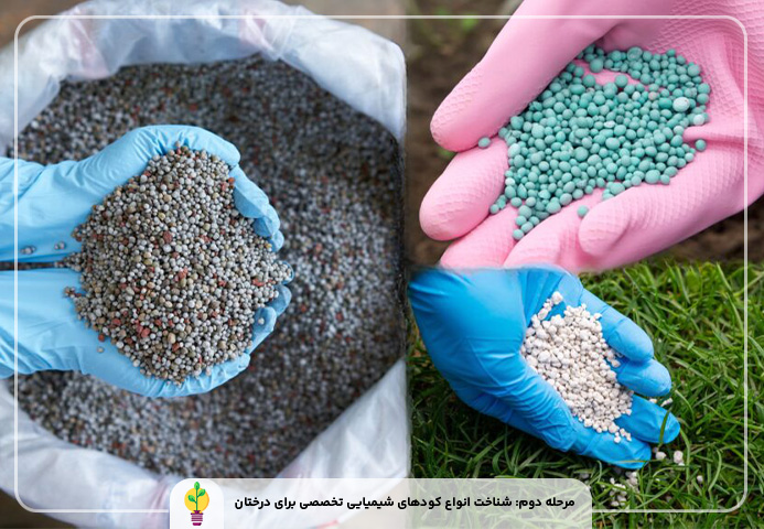 انواع کود شیمیایی برای درخت