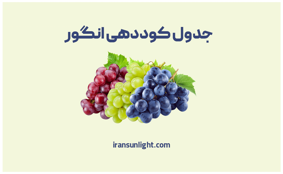 کود برای انگور