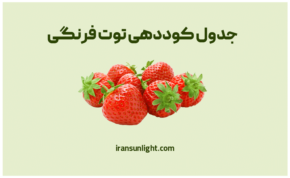 کود برای توت فرنگی