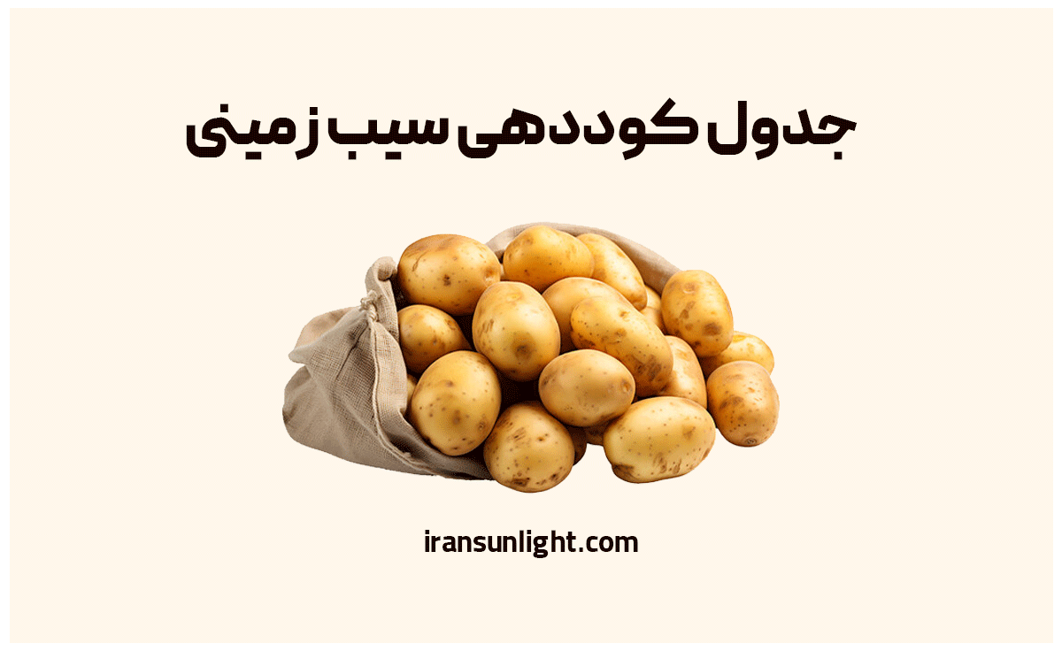 کود برای سیب زمینی