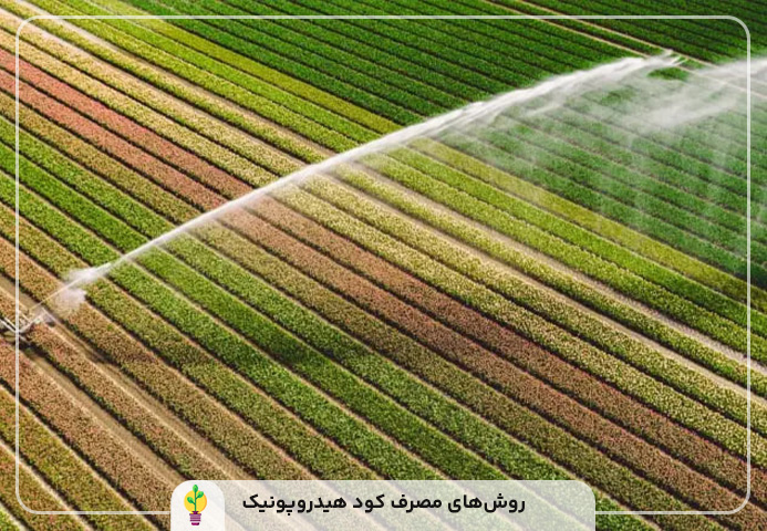 کود هیدروپونیک