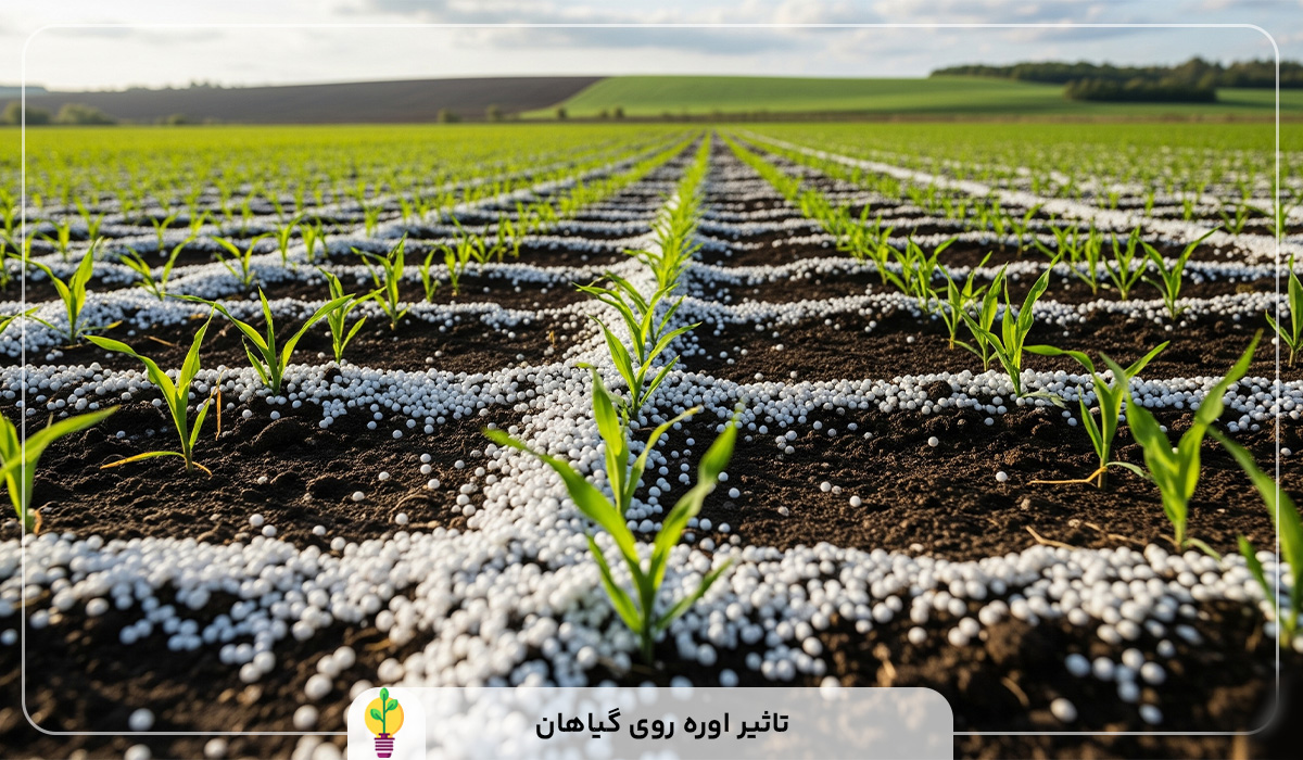 کود اوره چیست؟