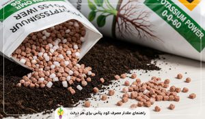 مقدار مصرف کود پتاس برای هر درخت 14 مقدار مصرف کود پتاس برای هر درخت