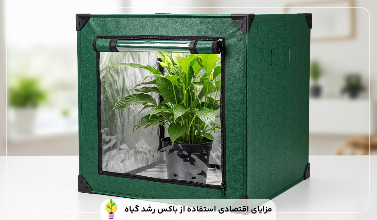 باکس و تجهیزات رشد گیاه 3 باکس رشد گیاه