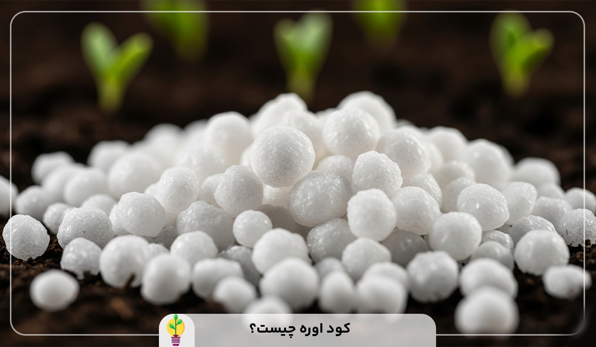 کود اوره چیست؟