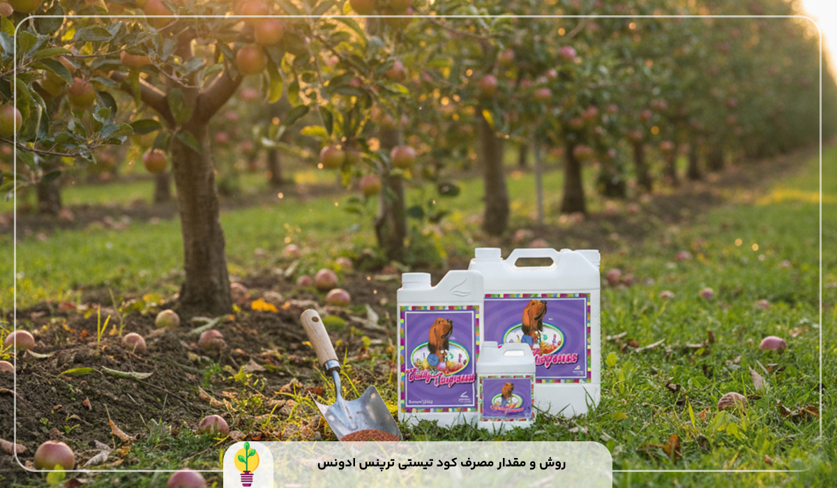 کود تیستی ترپنس ادونس (tasty terpenes)