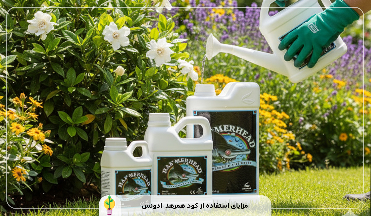 کود همرهد (hammerhead) ادونس