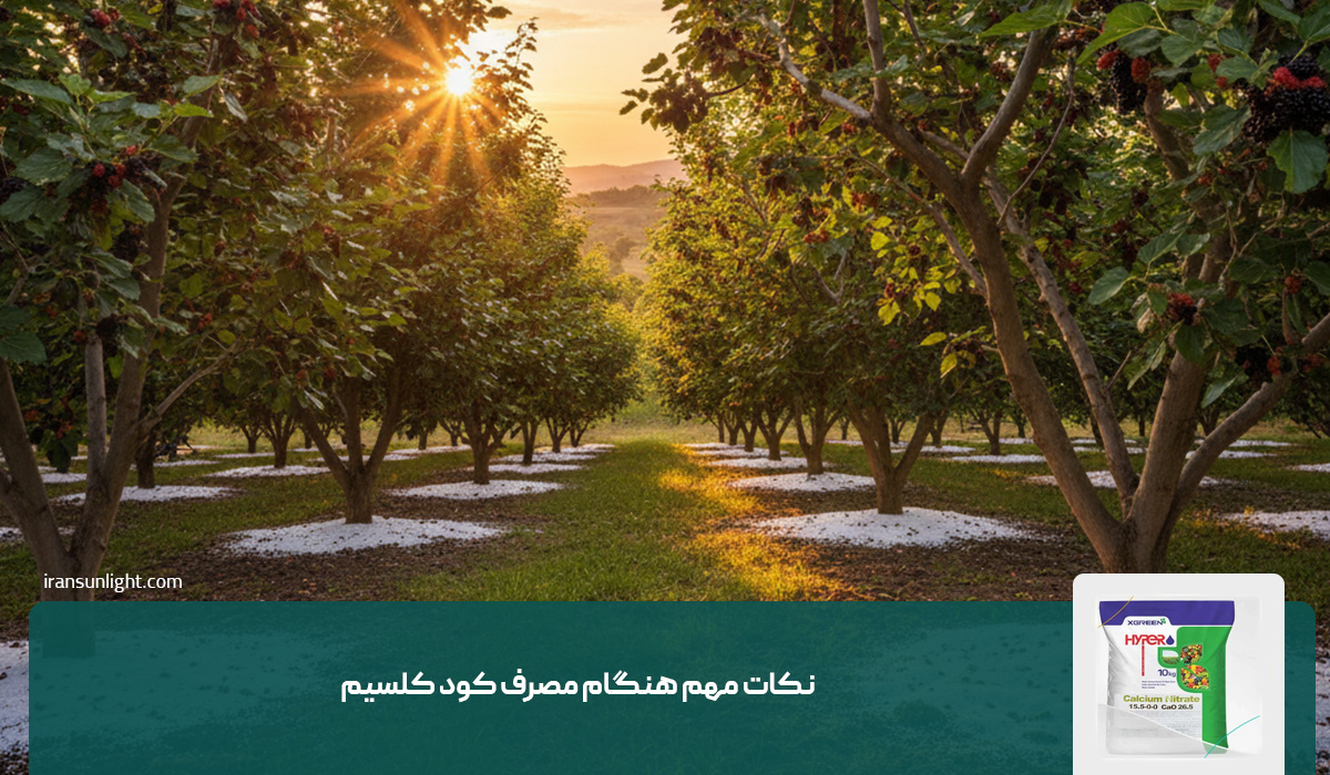 نکات مهم هنگام مصرف کود کلسیم