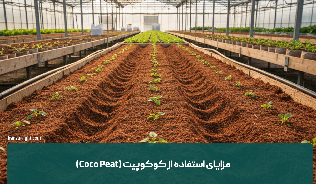 کوکوپیت چیست؟ راهنمای کامل استفاده از خاک کوکوپیت 2 مزایای استفاده از کوکوپیت (Coco Peat)