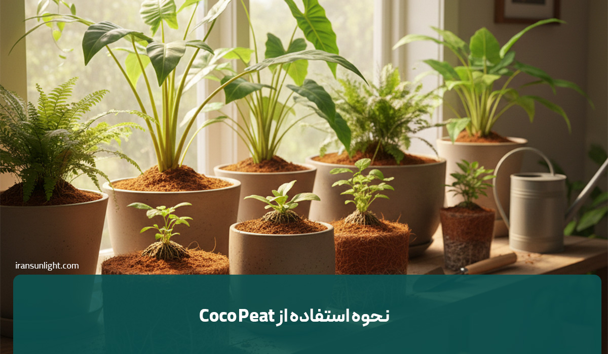 کوکوپیت چیست؟ راهنمای کامل استفاده از خاک کوکوپیت 3 نحوه استفاده از Coco Peat
