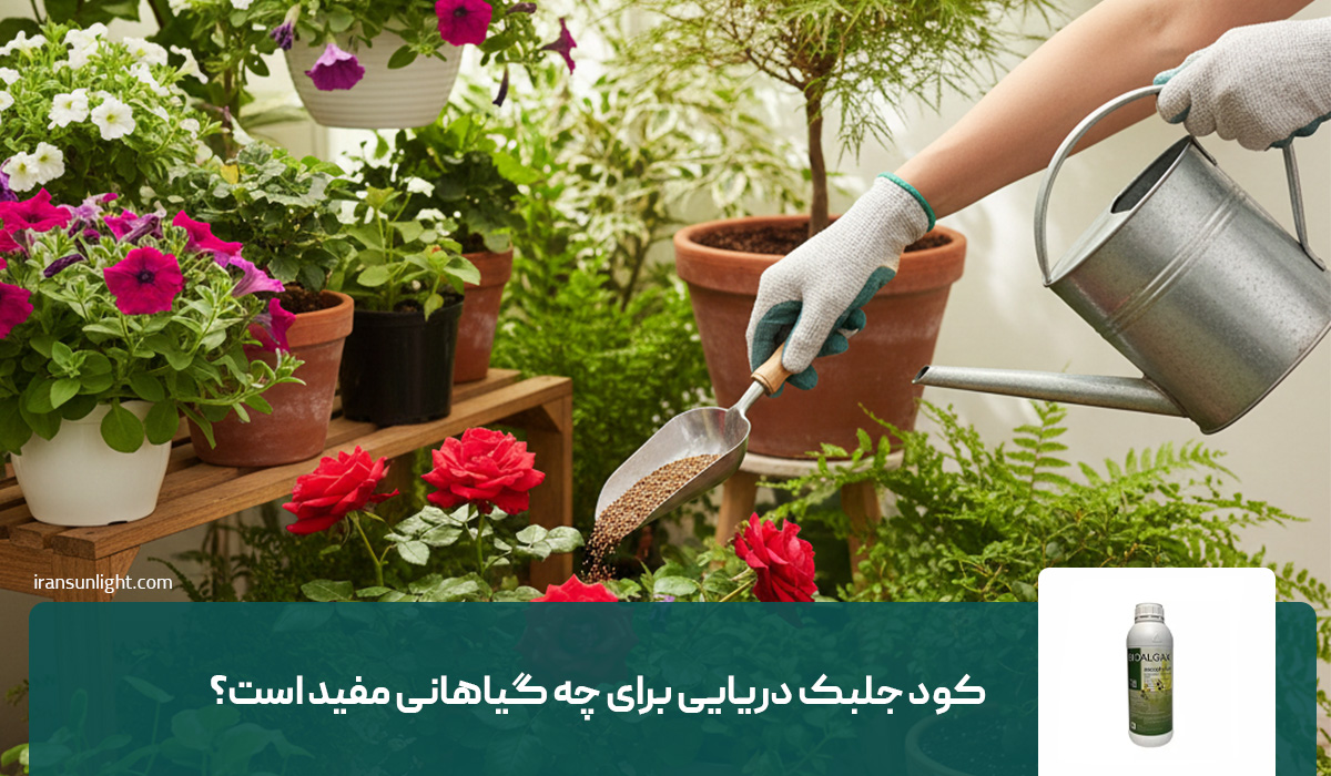 کود جلبک دریایی برای چه گیاهانی مفید است؟ 1 کود جلبک دریایی برای چه گیاهانی مفید است؟