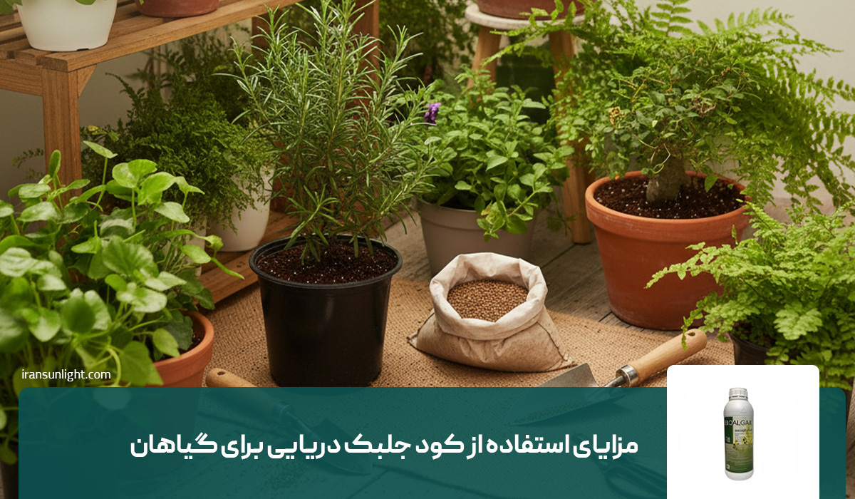 کود جلبک دریایی برای چه گیاهانی مفید است؟ 2 مزایای استفاده از کود جلبک دریایی برای گیاهان