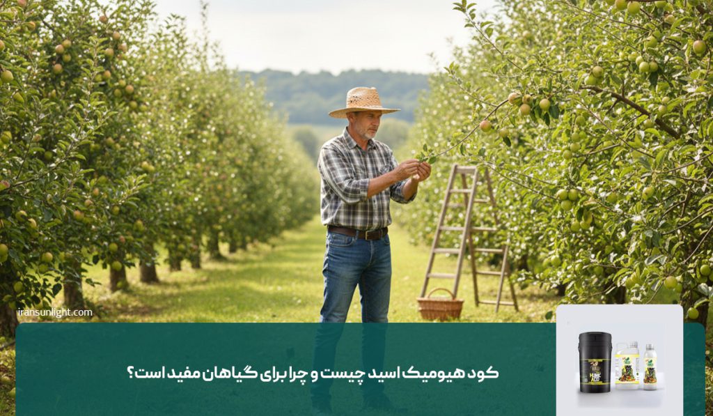 کود هیومیک اسید چیست و چرا برای گیاهان مفید است؟