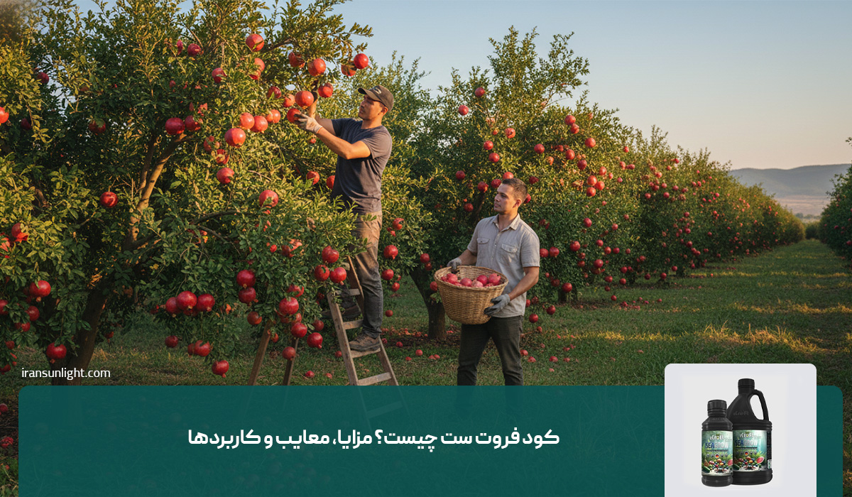کود فروت ست چیست؟ مزایا، معایب و کاربردها