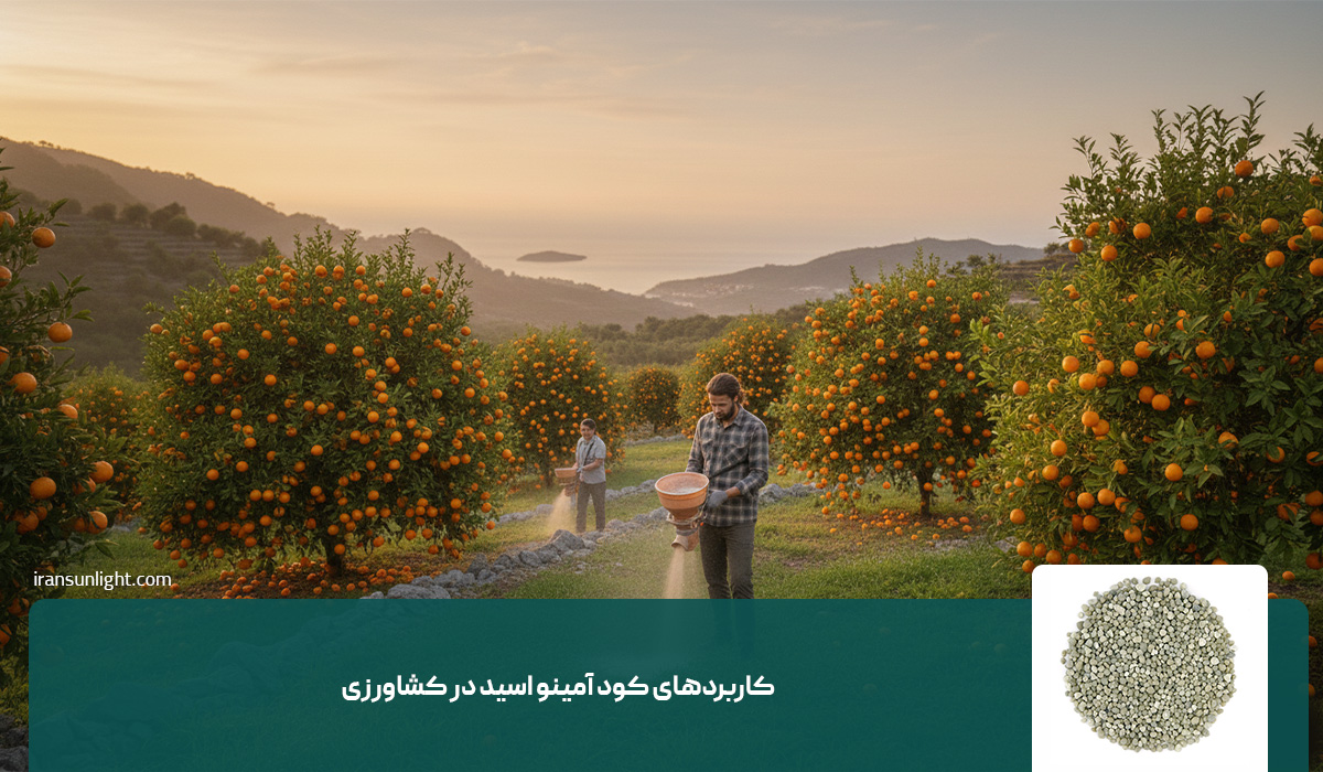 کود آمینو اسید چیست؟ (مزایا، معایب، کاربرد ها) 11 کاربردهای کود آمینو اسید در کشاورزی