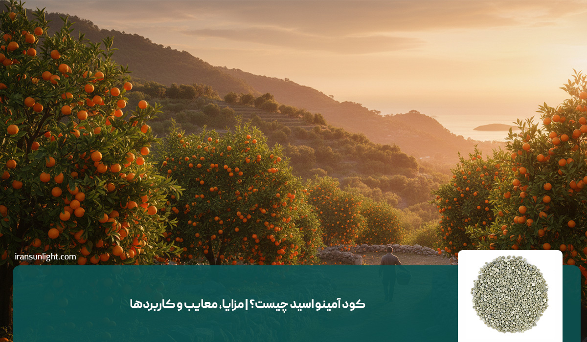کود آمینو اسید چیست؟ (مزایا، معایب، کاربرد ها) 1 کود آمینو اسید چیست؟ | مزایا، معایب و کاربردها