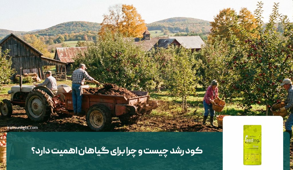 کود رشد چیست و چرا برای گیاهان اهمیت دارد؟
