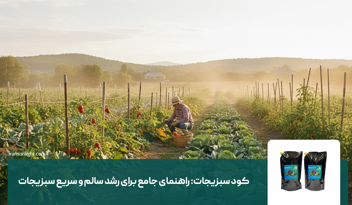 کود سبزیجات: راهنمای جامع برای رشد سالم و سریع سبزیجات