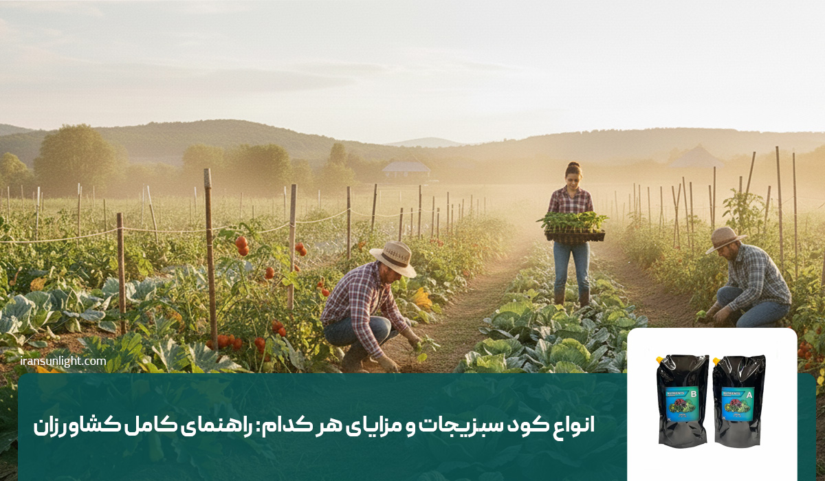 انواع کود سبزیجات و مزایای هر کدام: راهنمای کامل کشاورزان