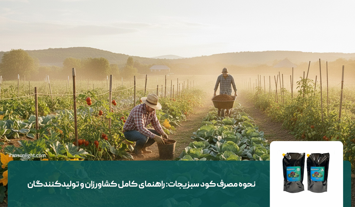 نحوه مصرف کود سبزیجات: راهنمای کامل کشاورزان و تولیدکنندگان