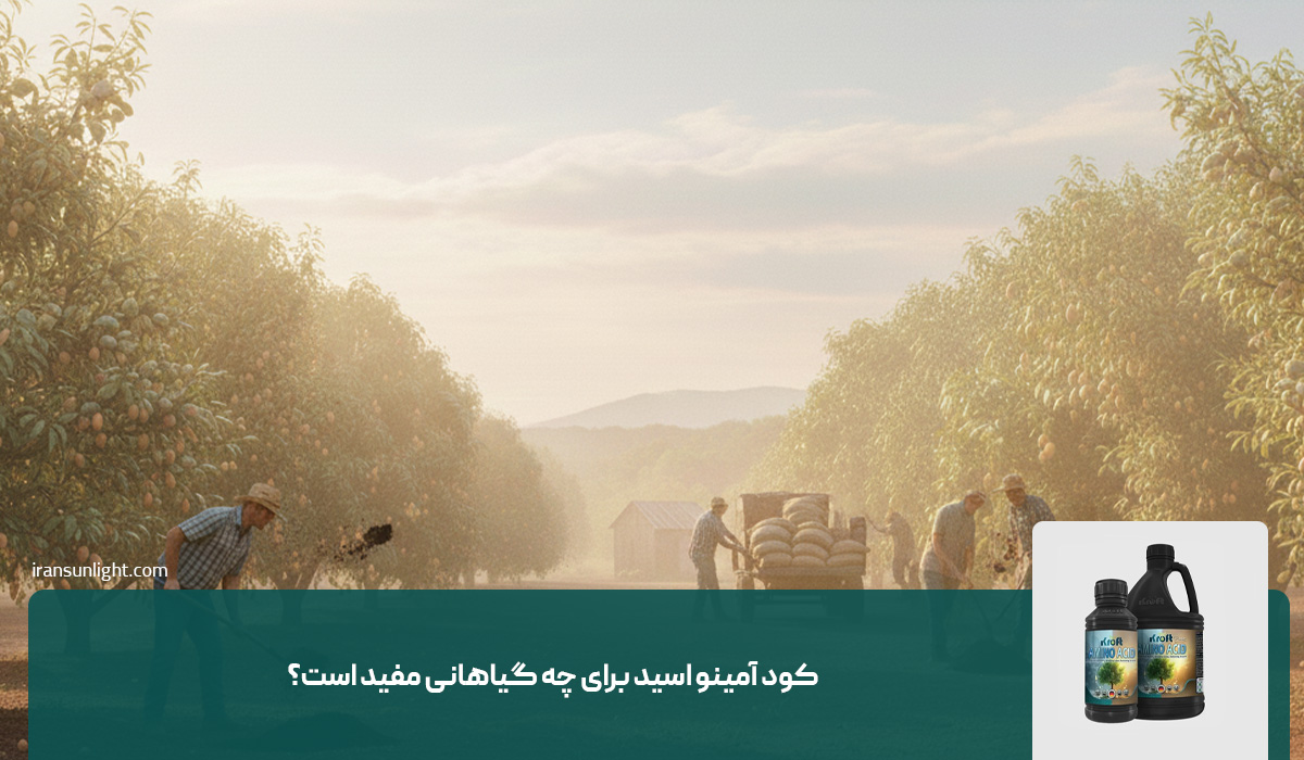 کود آمینو اسید برای چه گیاهانی مفید است؟