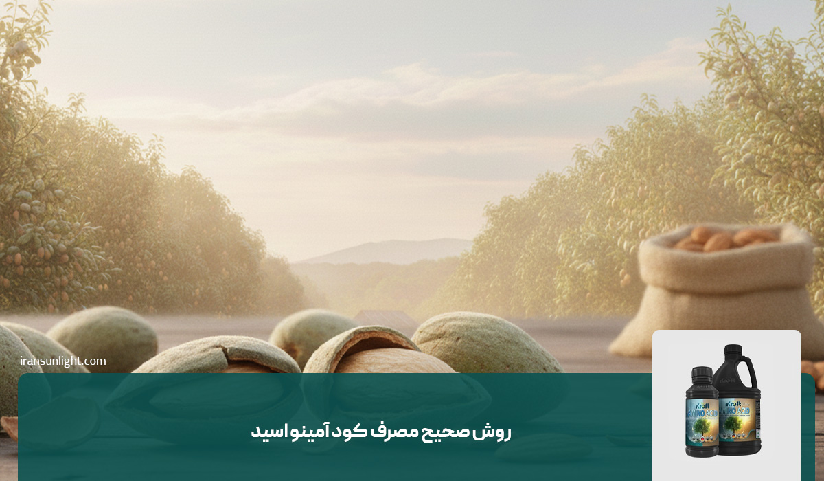 روش صحیح مصرف کود آمینو اسید