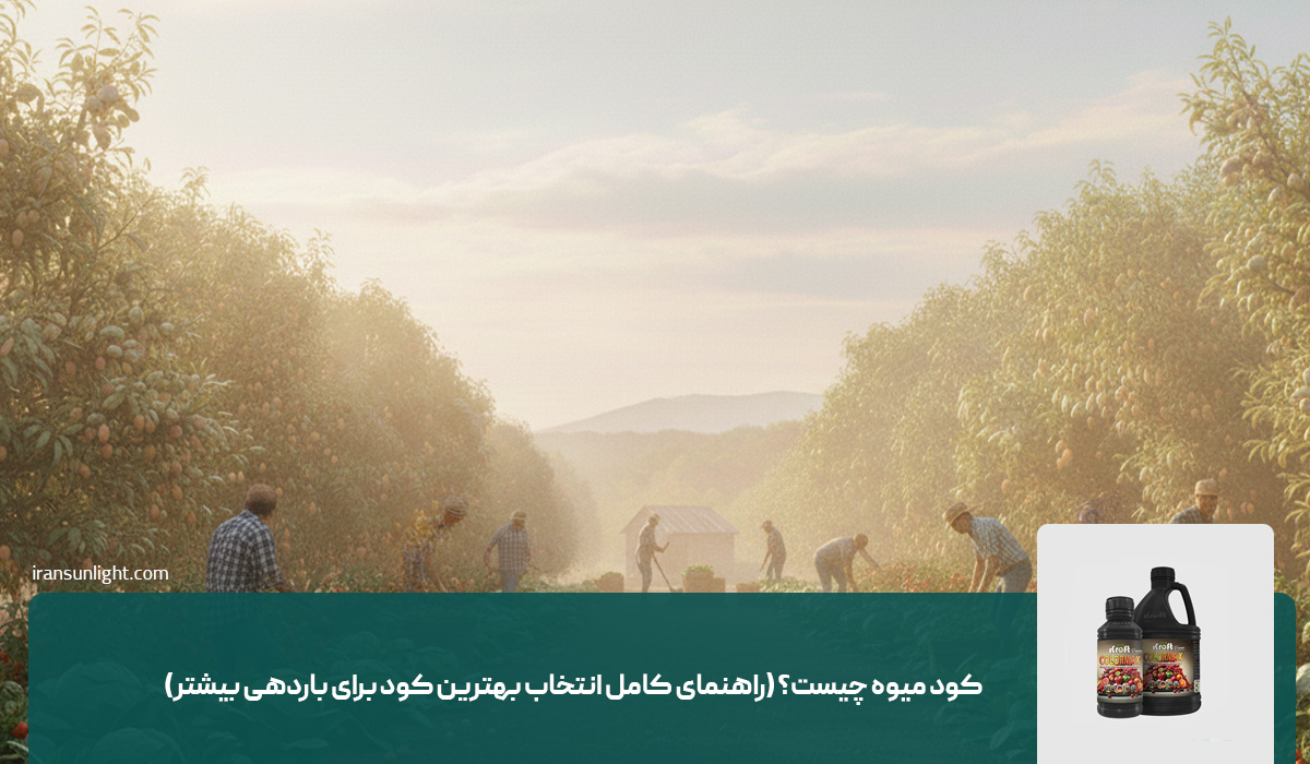کود میوه چیست؟ (راهنمای کامل انتخاب بهترین کود برای باردهی بیشتر)
