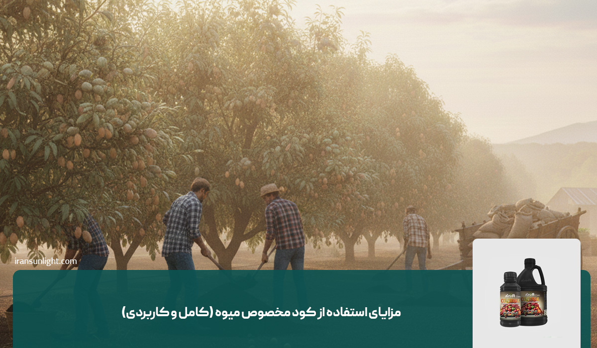 مزایای استفاده از کود مخصوص میوه (کامل و کاربردی)