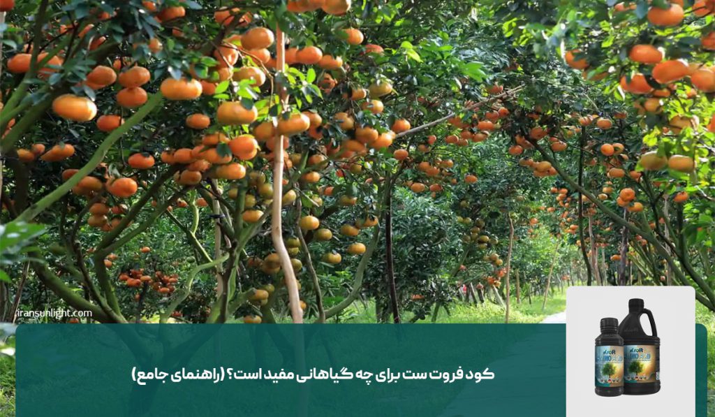 کود فروت ست برای چه گیاهانی مفید است؟ (راهنمای جامع+ زمان مصرف، تفاوت با سایر کودها)