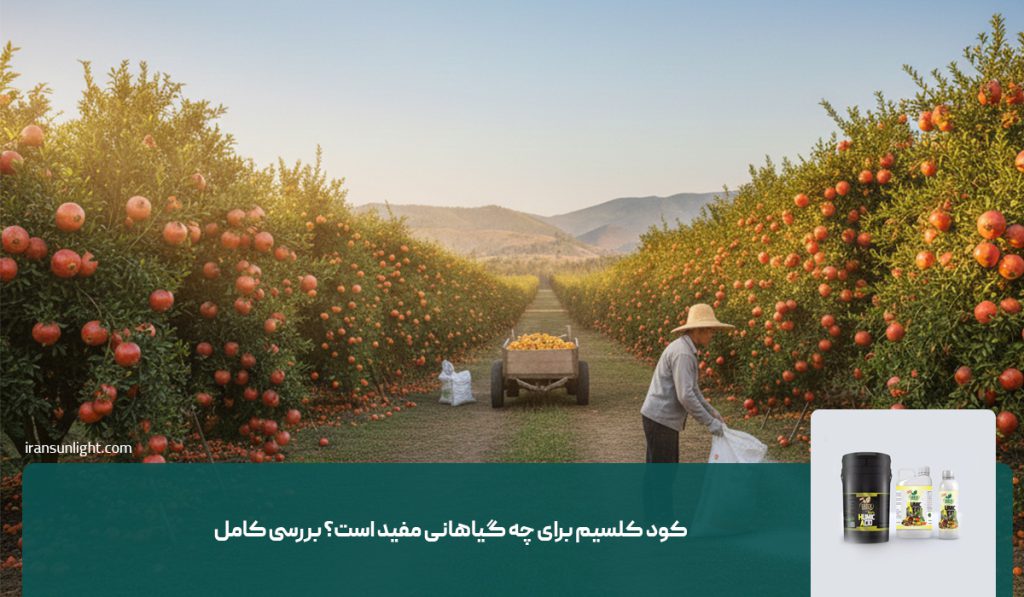 کود کلسیم برای چه گیاهانی مفید است؟ بررسی کامل