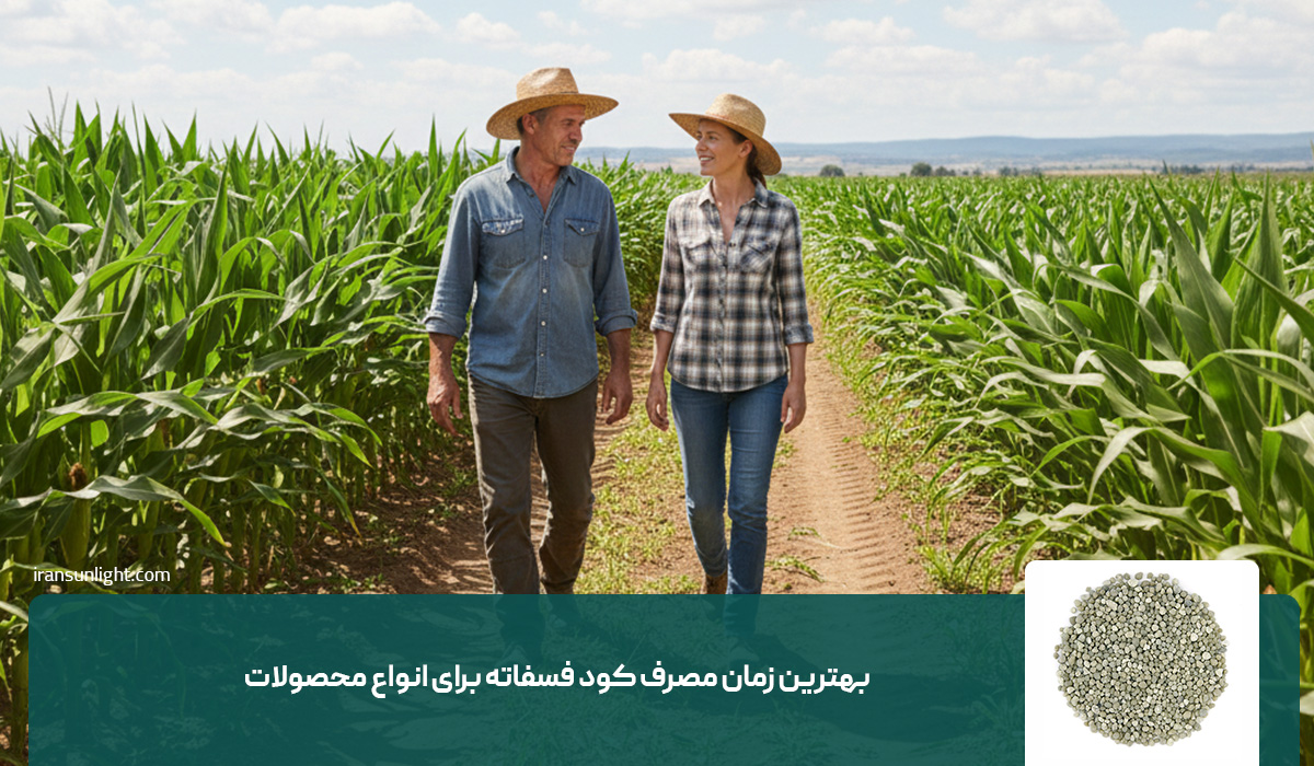 کود فسفات برای چه گیاهانی مفید است؟ 3 بهترین زمان مصرف کود فسفاته برای انواع محصولات