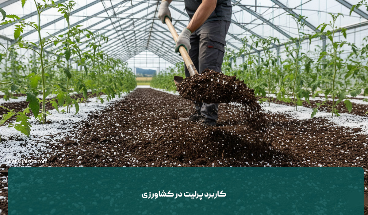 پرلیت چیست؟ 2 کاربرد پرلیت در کشاورزی