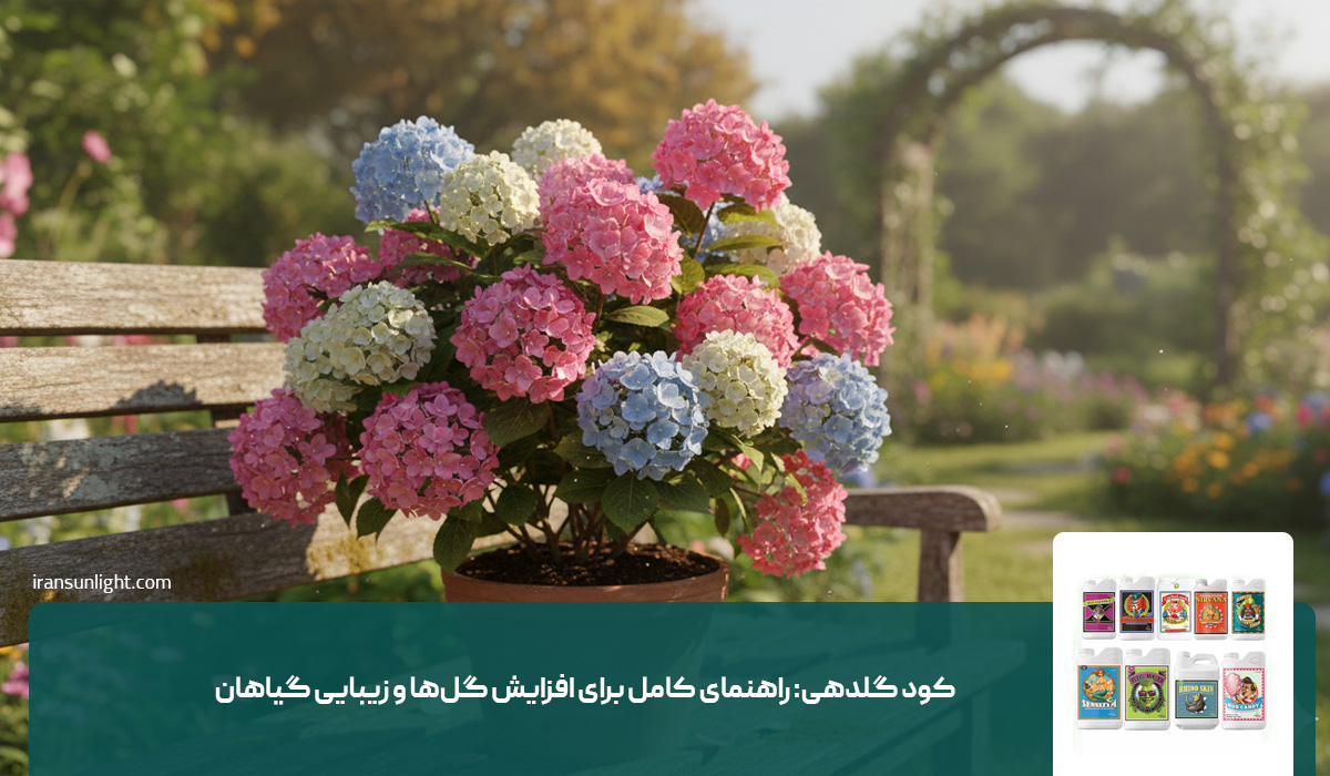 کود گلدهی: راهنمای کامل برای افزایش گلها و زیبایی گیاهان