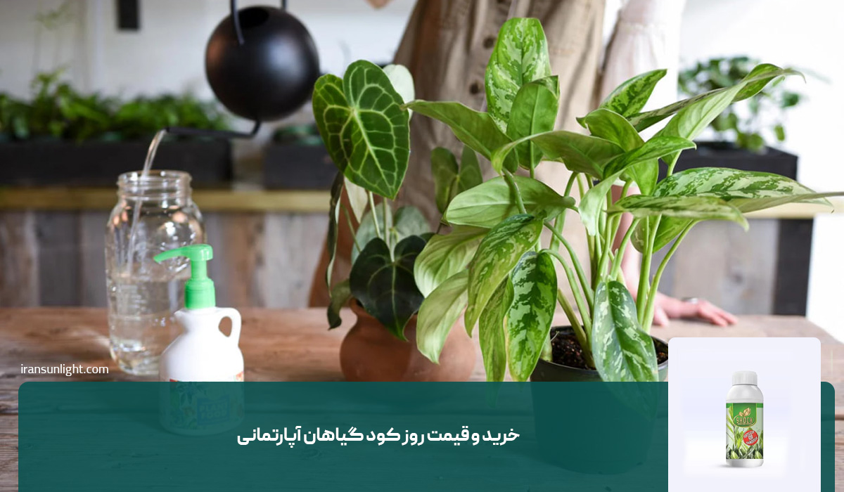 خرید و قیمت روز کود گیاهان آپارتمانی