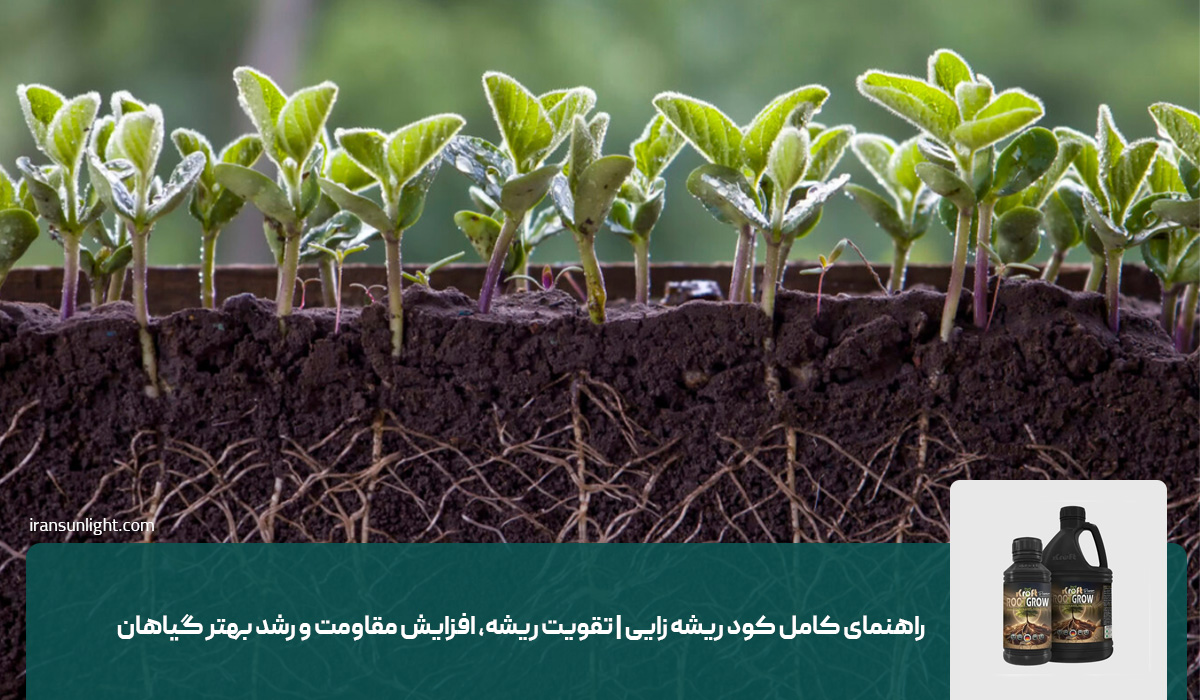 راهنمای کامل کود ریشه زایی | تقویت ریشه، افزایش مقاومت و رشد بهتر گیاهان